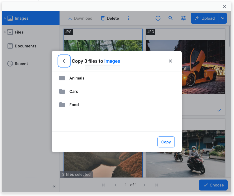 Choosing a target folder.