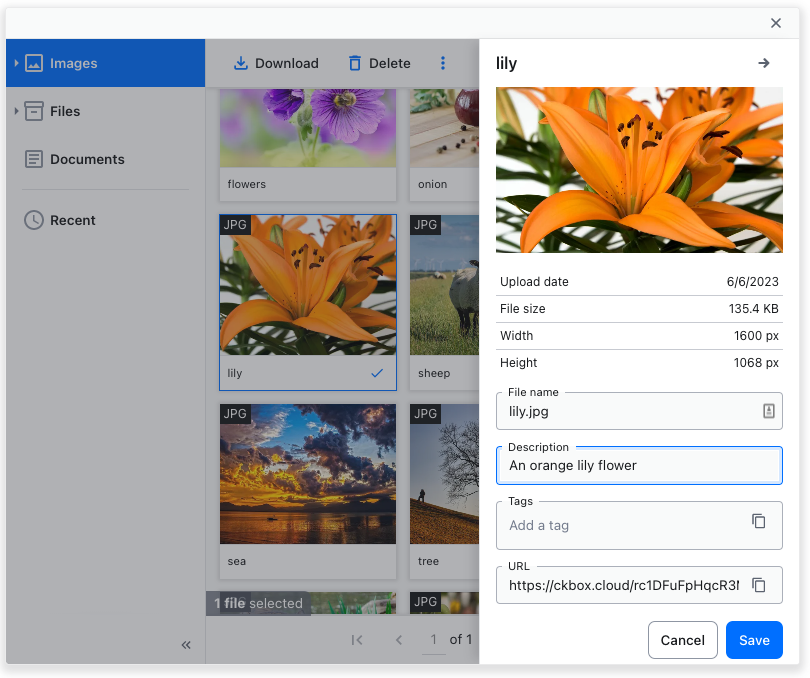 Adding a description to an asset.