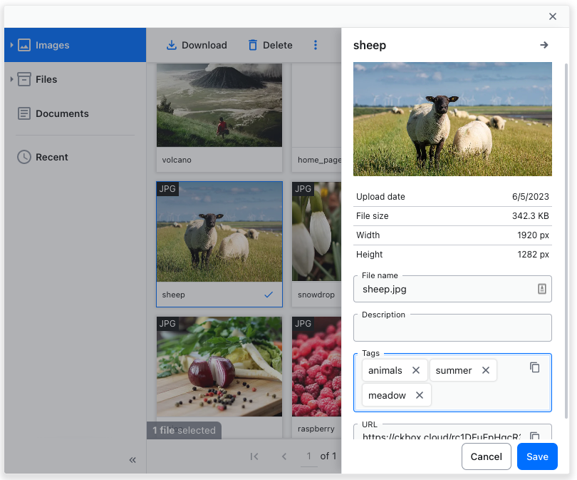 Tagging files in CKBox.