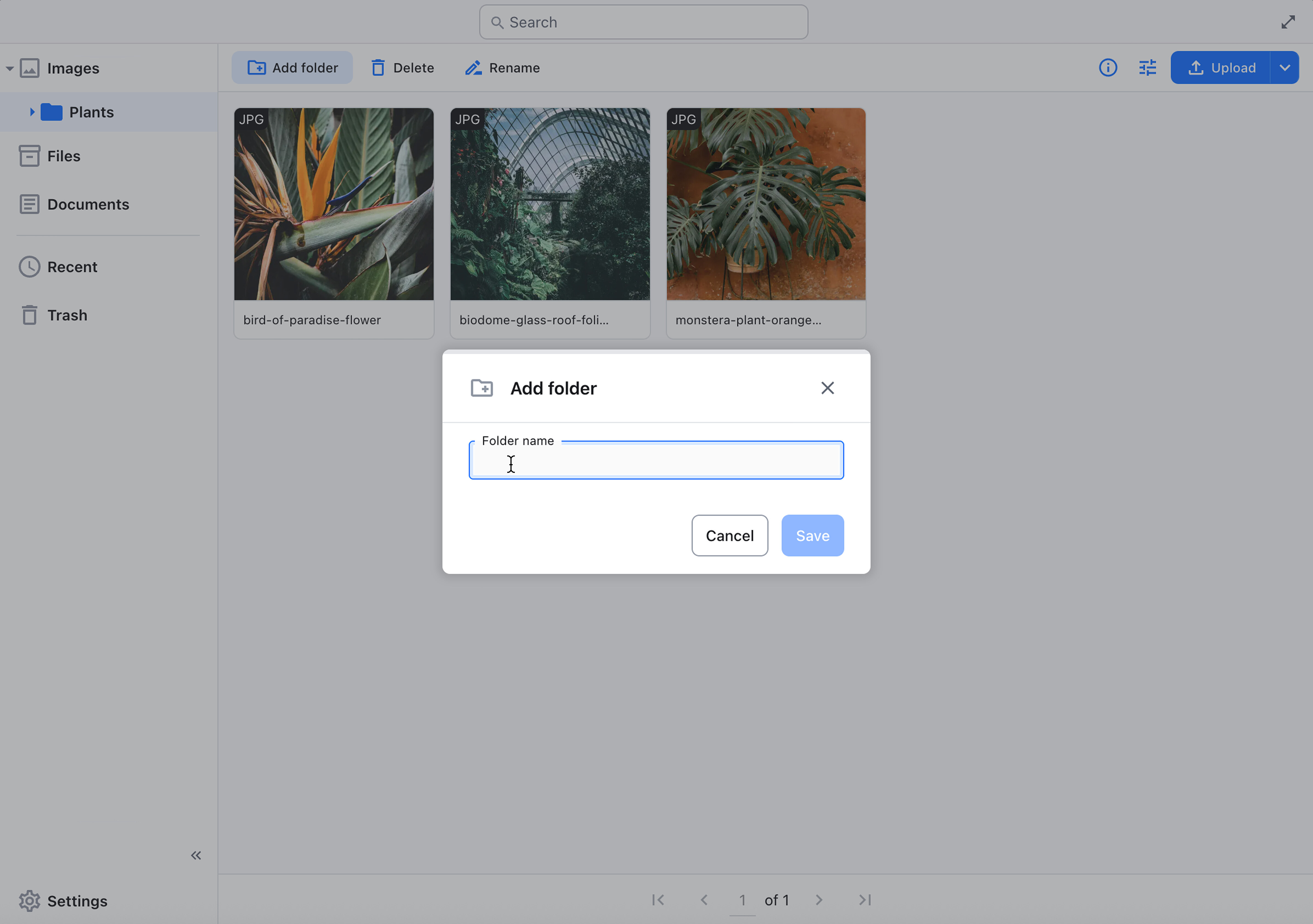 Adding and naming a new folder.