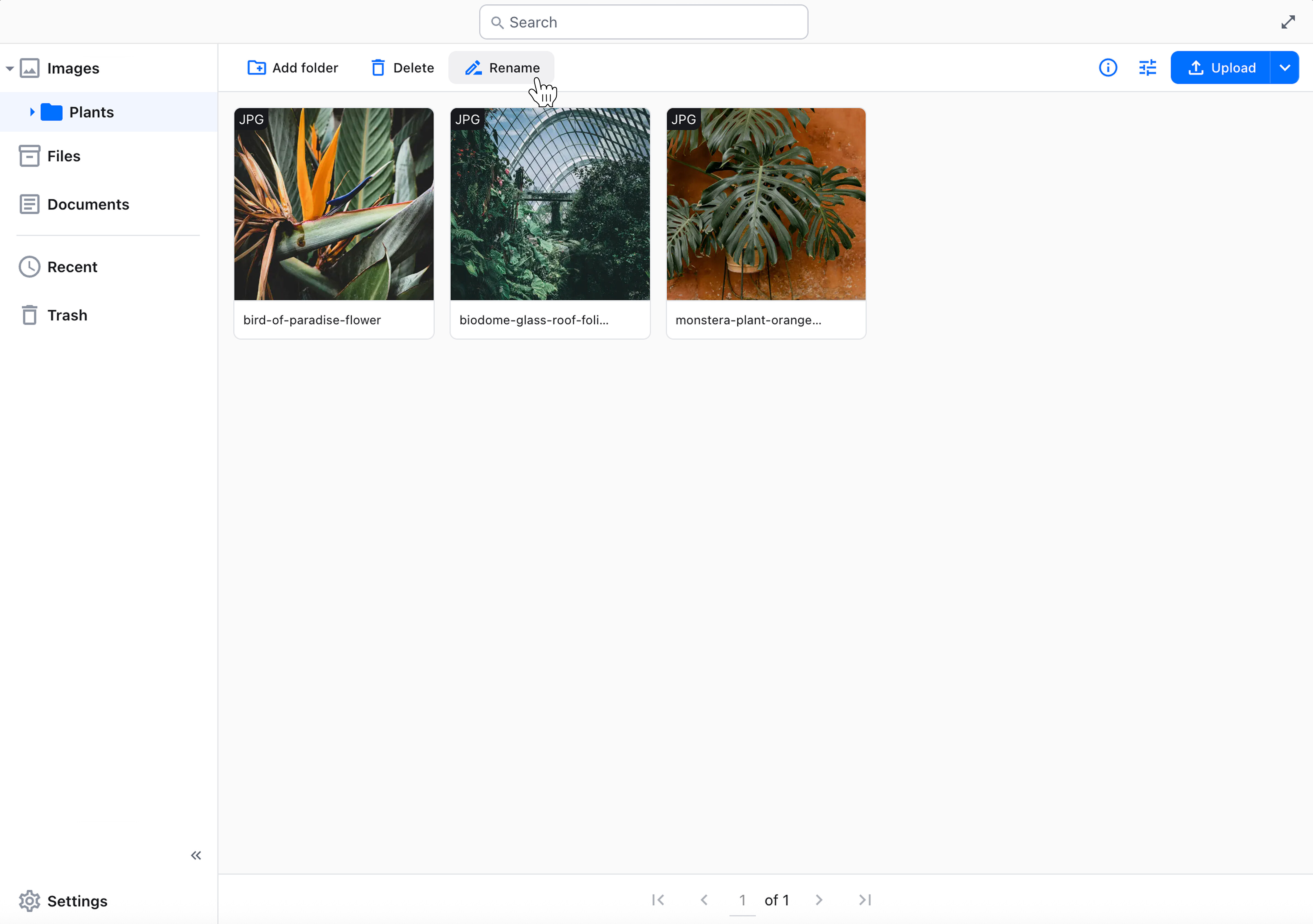 Folder management elements in the top bar.