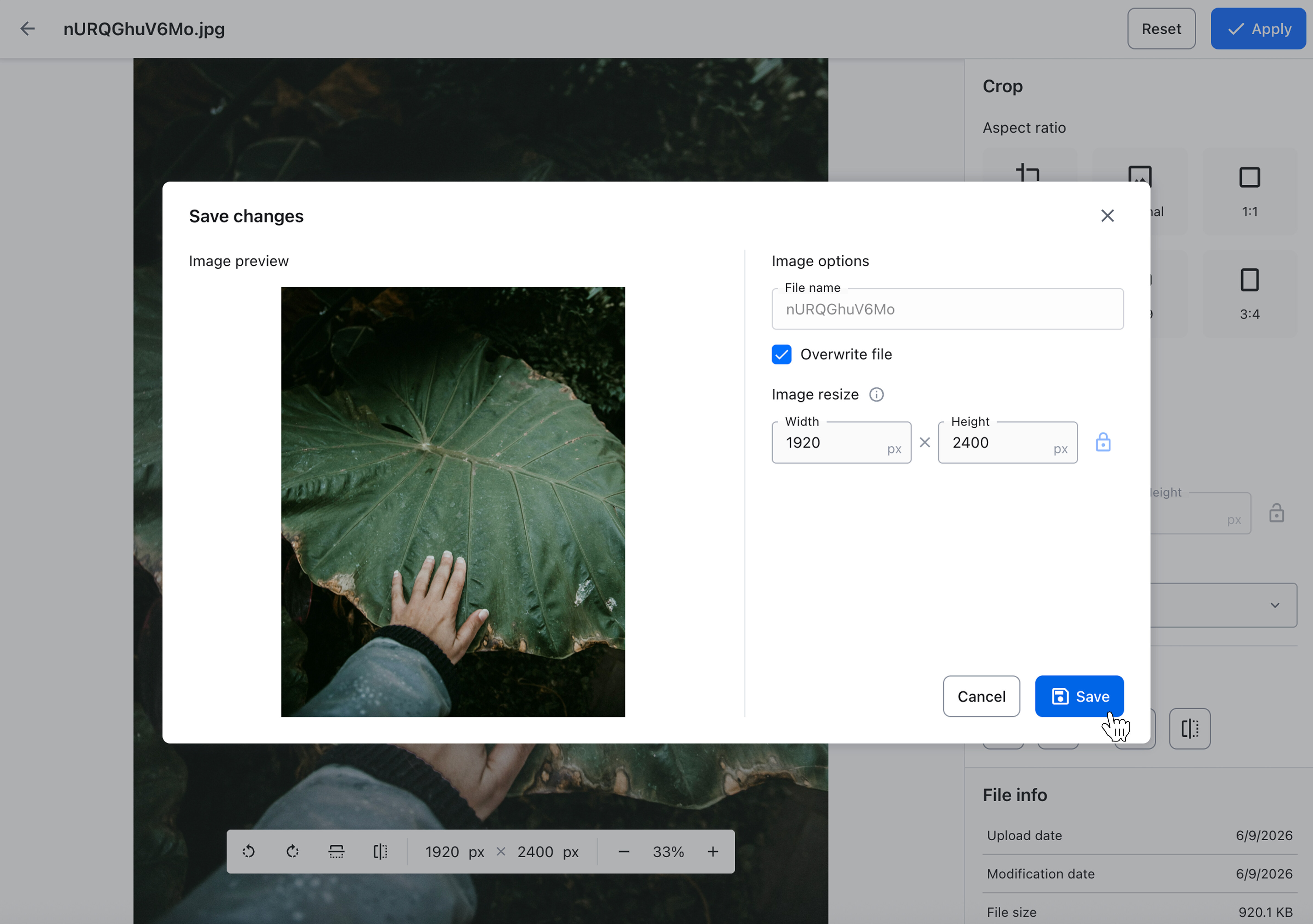 Overwriting the edited image.